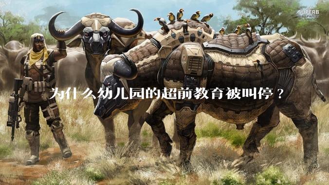 为什么幼儿园的超前教育被叫停?