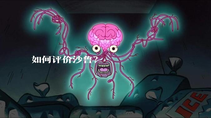 如何评价沙鲁？