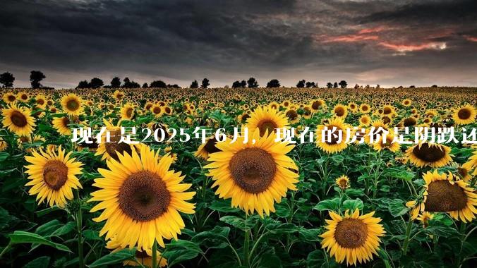 现在是2025年6月，现在的房价是阴跌还是暴跌？还会继续跌多久？是否已经开始分化?