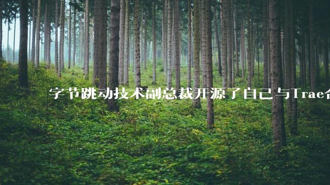 字节跳动技术副总裁开源了自己与Trae合作的首个项目，如何评价目前AI开发的水平？