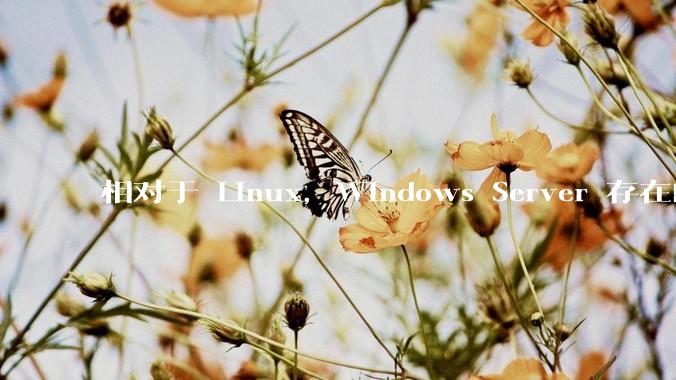 相对于 Linux，Windows Server 存在的意义是什么？