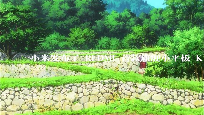 小米发布了 REDMI 首款旗舰小平板 K Pad，仅 8.8 英寸，小巧便携，如何评价这一设计？