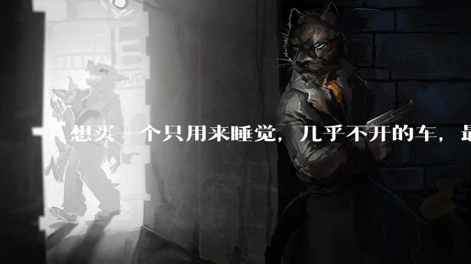 想买一个只用来睡觉，几乎不开的车，最低成本是多少？